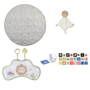 קאיצ'י סט אוניברסיטה